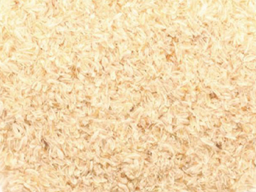 Psyllium Husk (Isabgol) Exporter India